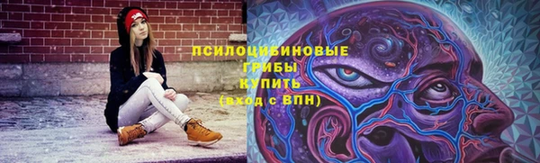 дмт Балахна