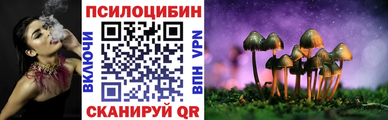 Галлюциногенные грибы Psilocybine cubensis  MEGA   Кукмор 